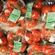Norsk perforert plastfolie for tomater, gulrøtter, kål og mer.