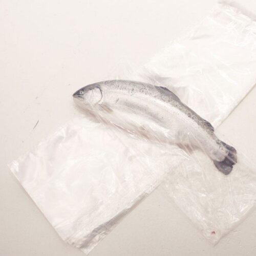 "Fiskeriemballasje laget med spesialiserte lakseposer, designet for å bevare ferskhet og kvalitet. Perfekt for lagring og salg av laks i fiskeriindustrien."