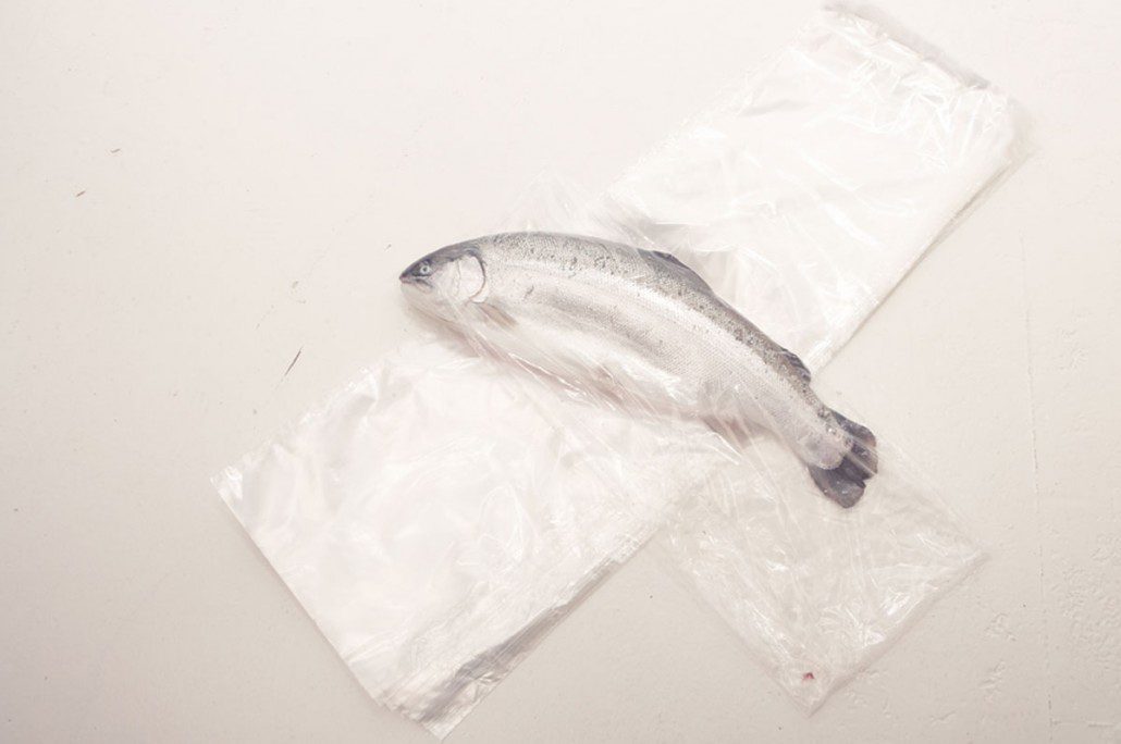 "Fiskeriemballasje laget med spesialiserte lakseposer, designet for å bevare ferskhet og kvalitet. Perfekt for lagring og salg av laks i fiskeriindustrien."